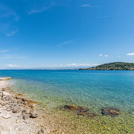 Azzurra *